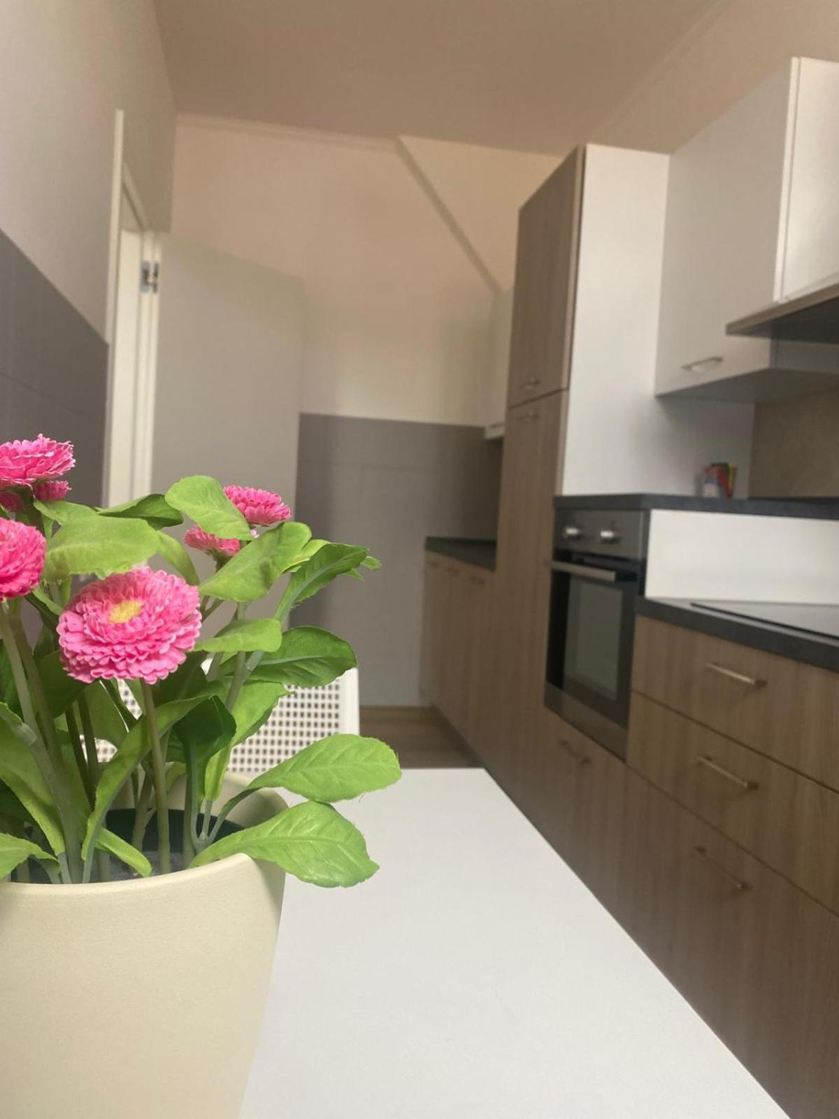 Apartamento Palazzo Venezian 5 Trieste Exterior foto